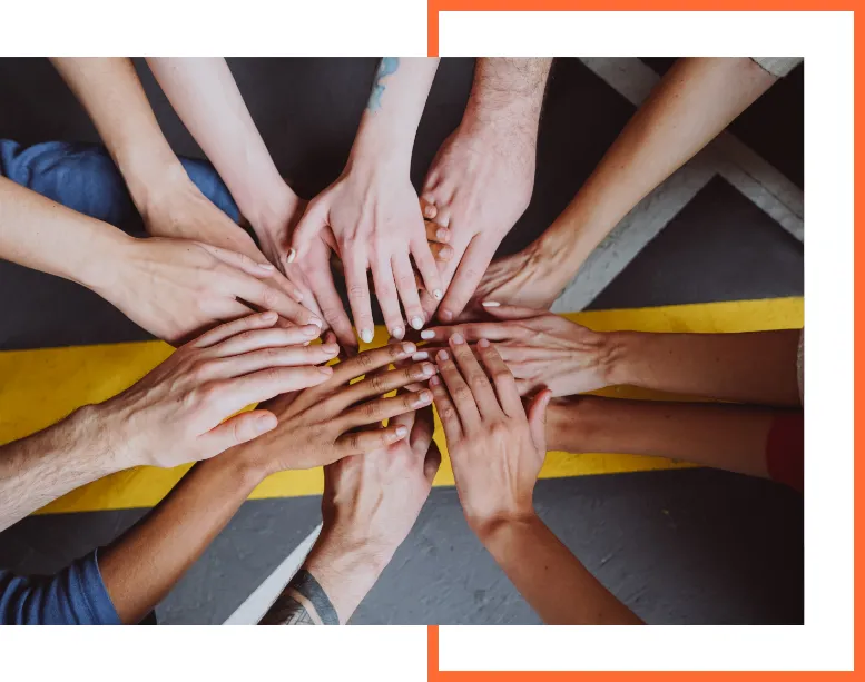 Island Designated Drivers